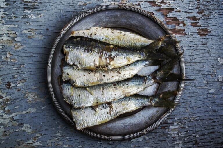 sardines-1489630_1920-1